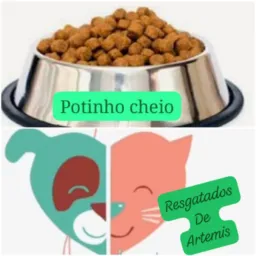 Potinho dos resgatados