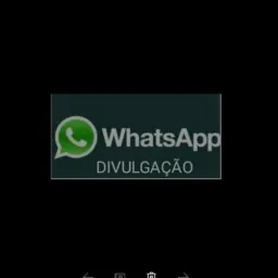 Divulgação link