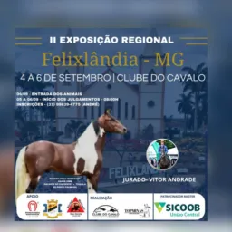 2ª EXPOSIÇÃO REGIONAL FELIXLANDIA 2025
