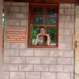 Emprego/Diárias Piri ✅