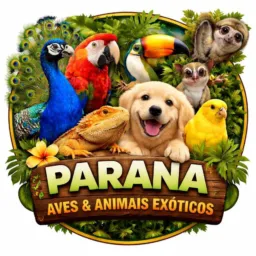 Paraná. Aves e animais exóticos👊😎
