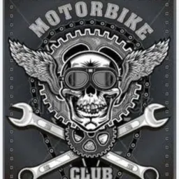 free lance moto clube 20
