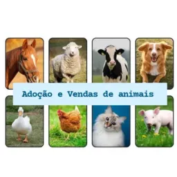 Venda&Adoção de animais🐶😺