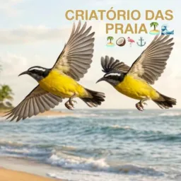🕊️🏖️CRIATÓRIO DÁS PRAIA🏖️🕊️