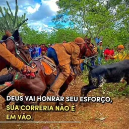 Primero bolão de pega de boi🐎🐂