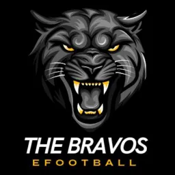 FEDERAÇÃO THE BRAVOS EFOOTBALL ™