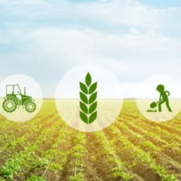 Agricultores Chapadão e Região🚜🪵🎋🌾🌱