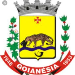 TRABALHAMOS POR GOIANÉSIA