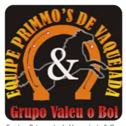 Grupo de vaquejada do Piauí🐴🐴🔥🎖️🏅🥉🥈