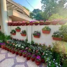 Grupo de PLantas 🌷🪻🌹🌱🪴