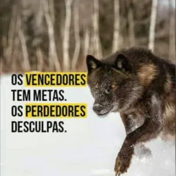 Compras e vendas👚👖👔👗🕶👕