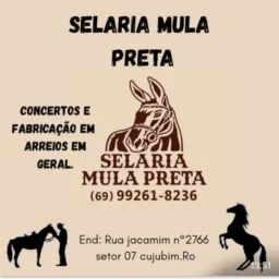 RIFA SELARIA MULA PRETA 🫏