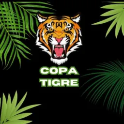 CENTRAL DE DIVULGAÇÕES TIGRE🐯