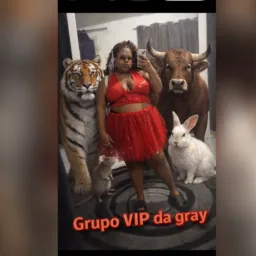 Grupo VIP Gray