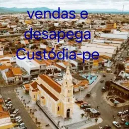 Vendas e Desapega Custódia