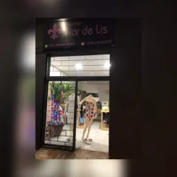 Brechó flor-de-lis Assis