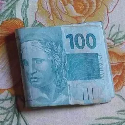 Rifa referente a dinheiro porco gado