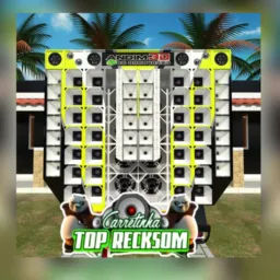 CARRETINHA TOP RECKSOM 🔊🔊🔊🐼🐼🐼
