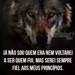 Brasileiro e Patriota🇧🇷⚔️🇧🇷