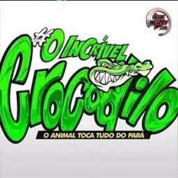 Cds oficial do crocodilo🐊🔥💿🗣️🥳