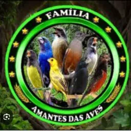 Baderna dos pássaro de Cariacica
