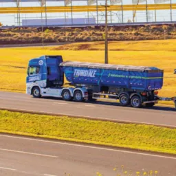Transvale na ROTA do sucesso -Fretes saindo de GO 🚚🌽🌱💰