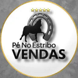 Oportunidades- Vendas Pé no estribo