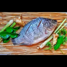 PEIXARIA TRÊS MARIAS 🐟