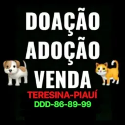 Pet🐕Club🐈-The-Pi🇧🇷