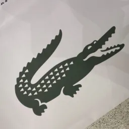 Lacoste Desapegos RT 🐊