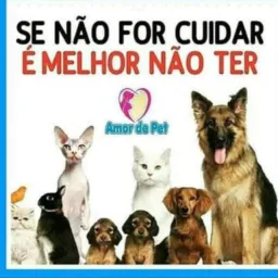 Doação e adoção de animais🐈⬛🐕