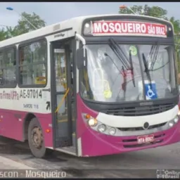ÔNIBUS FANTASMAS 👻🦴