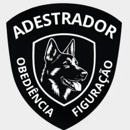 Adestramento7comandos/ curso
