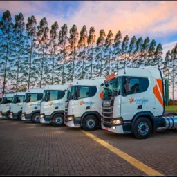 LONTANO TRANSPORTES PRIMAVERA 🔥🔥