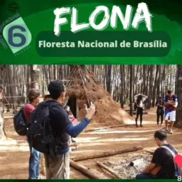 Trilha FLONA  6 km  Domingo 01/03/2026