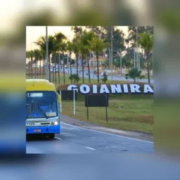 VENDAS GOIANIRA ,DIVULGUE SEU TRABALHO AQUI 🤝