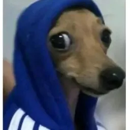 Conversas aleatórias