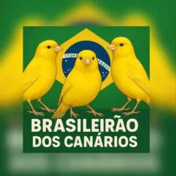 BRASILEIRÃO DOS CANÁRIOS BELGAS