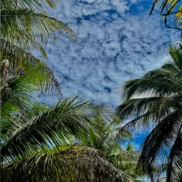 Paraipaba_de_tudo 🥥🌴