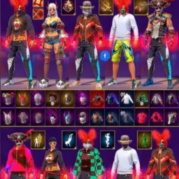 GRUPO DE CONTA DE FF