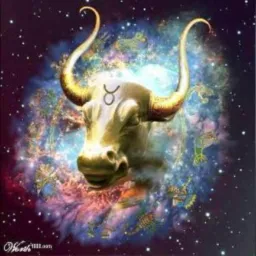 Universo de Touro 🐂