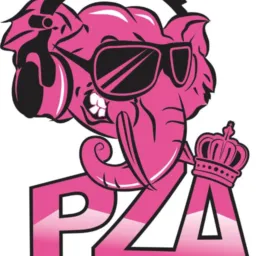 PZA - HOJE