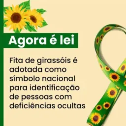 🧩 Educação Inclusiva - TDAH TEA TOD 🧩🩵