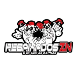 REBAIXADOS ZN 👑