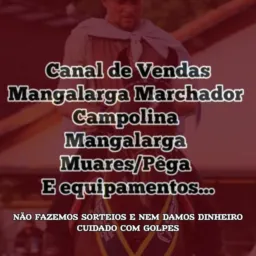 Notícias Leilões - Vendas