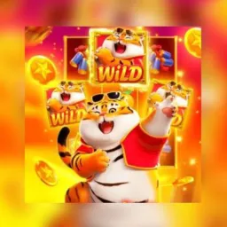 GRUPO PLATAFORMA WB 🐯🐯