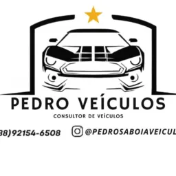 PEDRO VEICULOS CONSULTORIA🔑🚘✅️