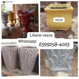 Vasos de confresa MT