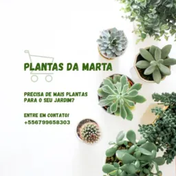 Venda de Plantas Da Marta🪴🌹🌻🌺