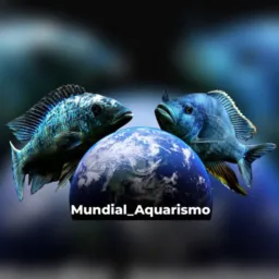 Mundial Aquarismo 🐟🌍
